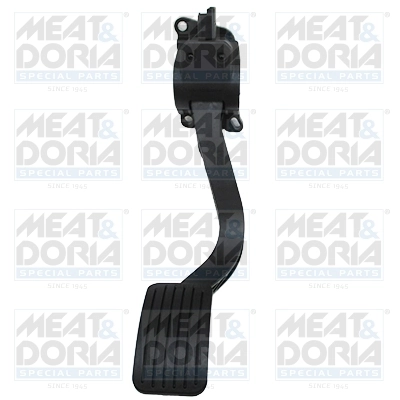Accelerator Pedal Unit